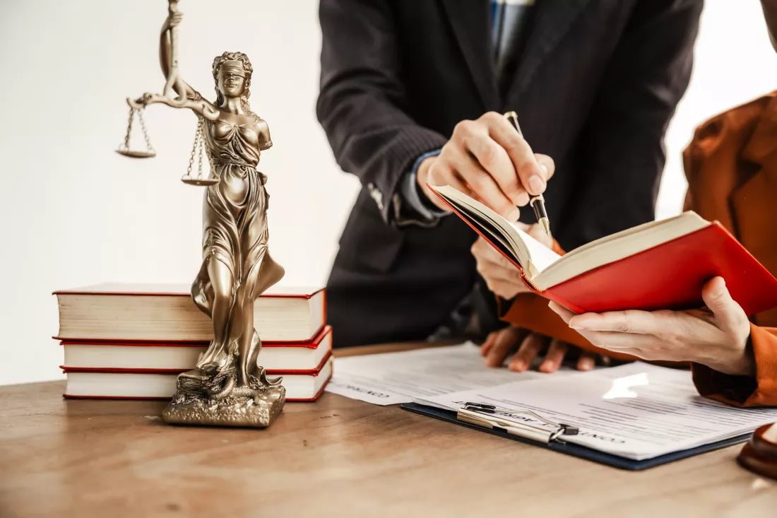 legal-proceedings-help-inspection-are-integral-lawyers-provide-guidance-examination-ensuring-adherence-laws-fair-judgment-facilitates-pursuit-justice-accountability