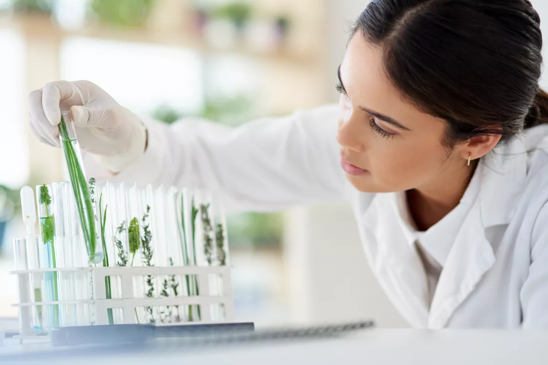 scientist-woman-leaf-test-tube-research-innovation-botany-medical-laboratory-science-professional-glass-experiment-with-plant-ecology-natural-organic-gmo-growth
